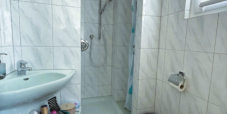 Gäste WC mit Dusche