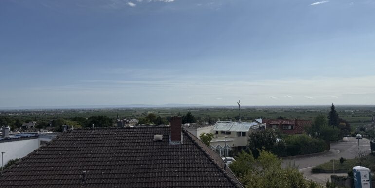 Ausblick