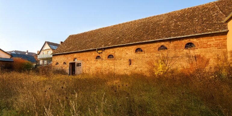 Rückansicht mit Garten