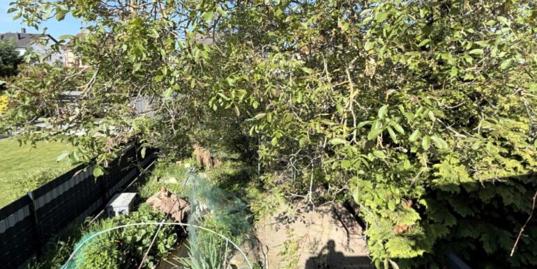 Blick aif den Garten