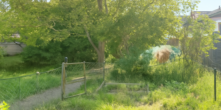 Garten 2