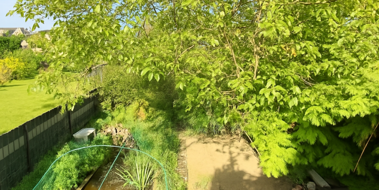 Blick in den Garten