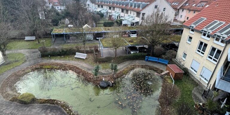 Teich in der Gartenanlage